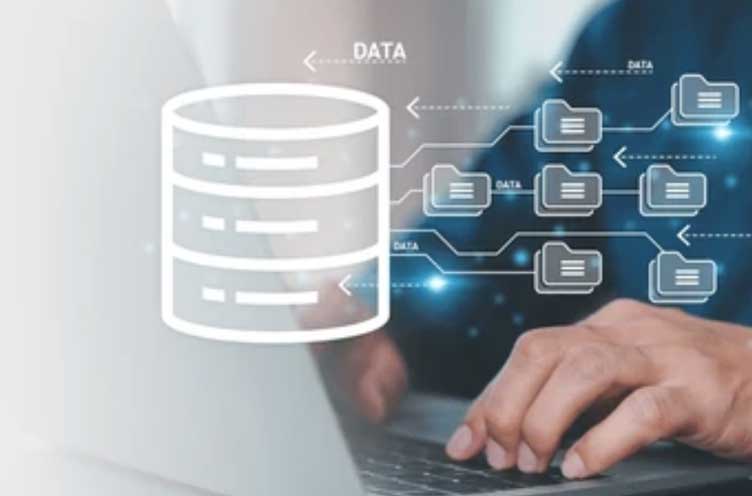 Database Management