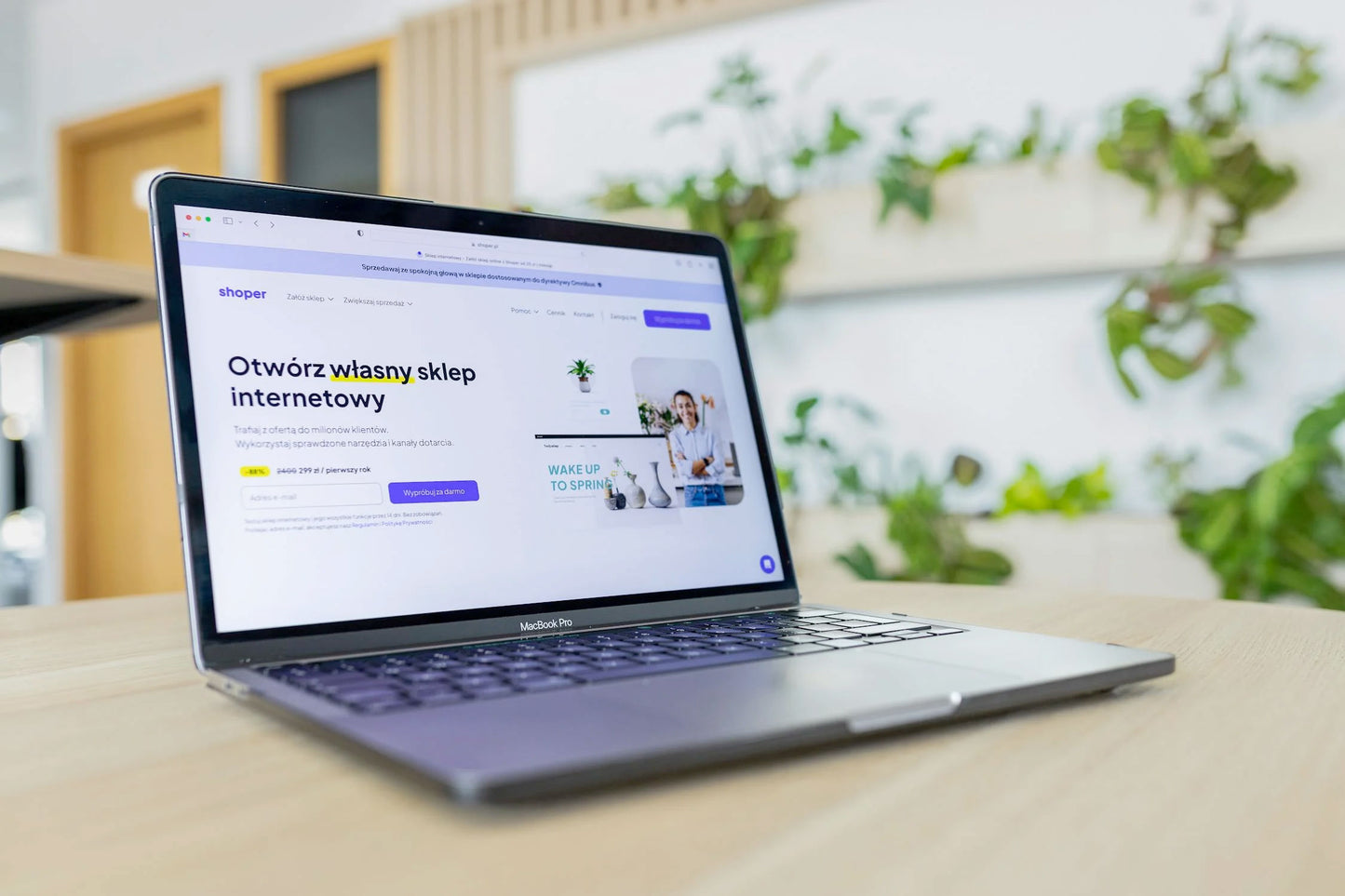 Pro Website Copywriting Service